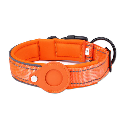 Orange dog collar