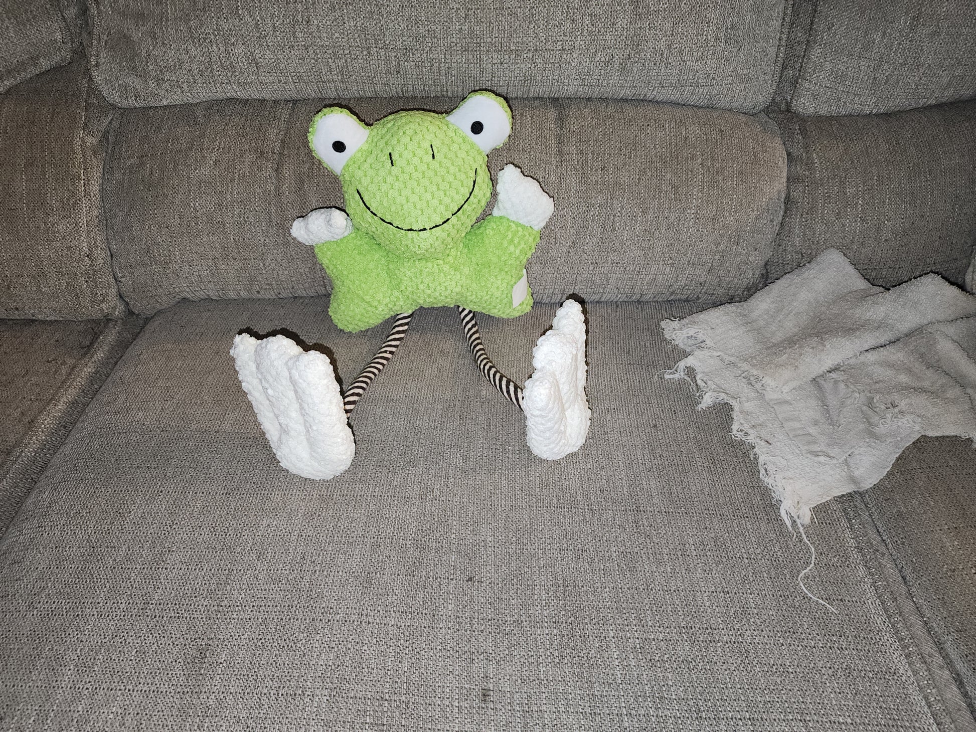 Frog chew toy for dogs