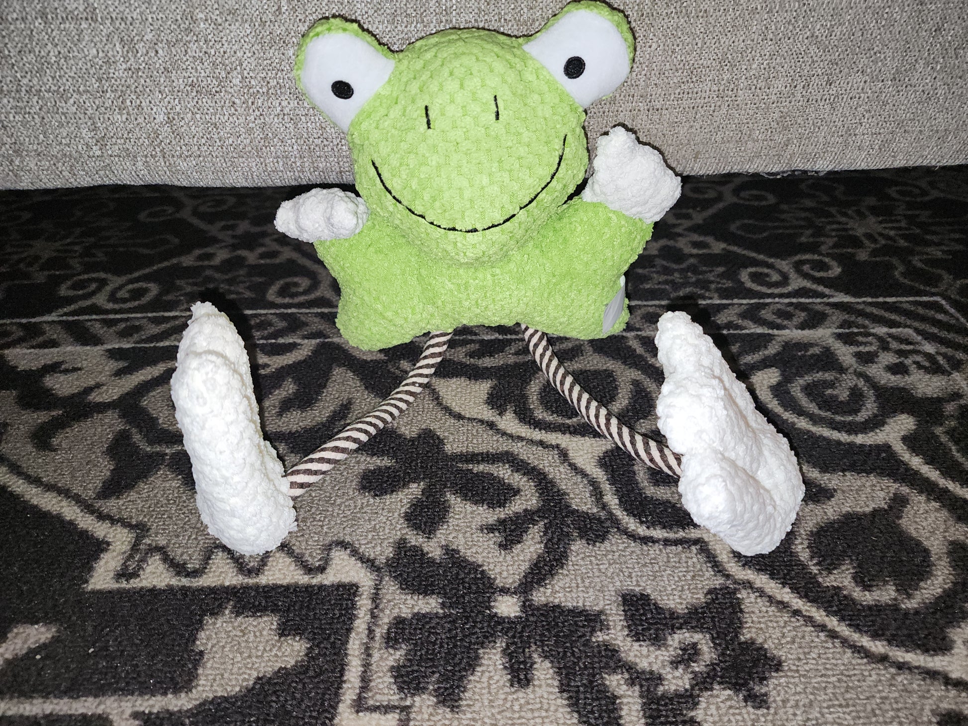 Frog chew toy for dogs