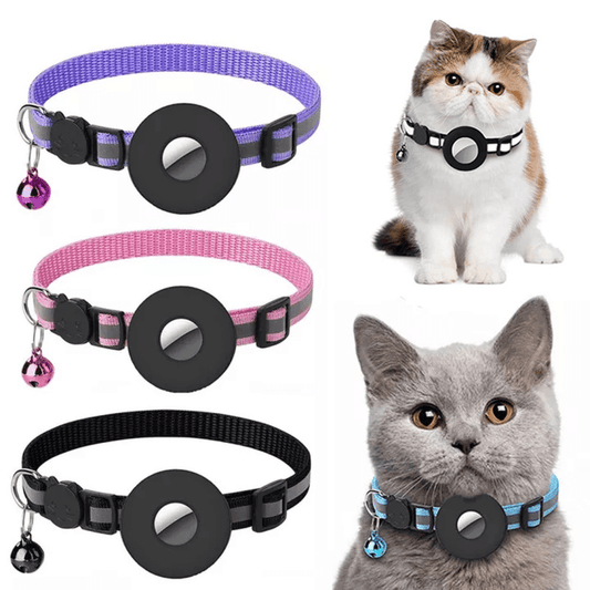 Cat with Collars on them and three collars purple,pink,black